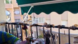 ¡Tu Refugio Costero te Espera en la Playa de Los Locos, Torrevieja! image 5