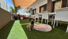 Купить Бунгало Испания. Район Pueblo Latino, 2 спальни, 70 м2 image 4