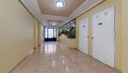 Apartment in Torrevieja, Spain, torrevieja area, 1 bedroom, 46 m2 - #ASV-18592/3818 image 5