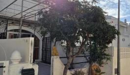 Real estate in Spain, Bungalow. Mil Palmeras area, 3 bedrooms, 90 m² image 2