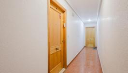 Torrevieja, real estate. torrevieja area, 2 bedrooms, 67 m² image 5