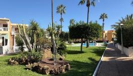 Apartment in Torrevieja, Spain. Torreblanca area, 1 bedroom, 45 m² image 4