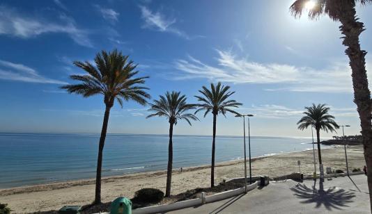 Real estate in Spain, Bungalow. Mil Palmeras area, 3 bedrooms, 90 m² image 0