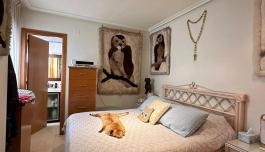 Torrevieja, real estate. Centro area, 3 bedrooms, 91 m² image 5