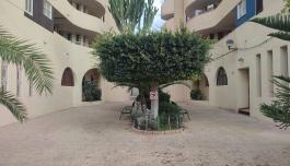 Torrevieja, real estate. La Veleta area, 1 bedroom, 79 m² image 3