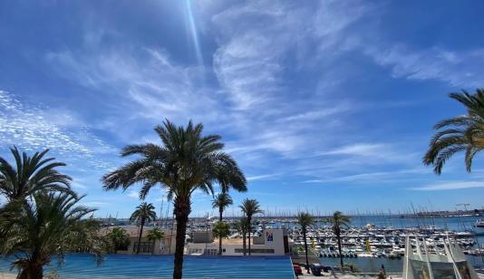 Property in Torrevieja. torrevieja area, 4 bedrooms, 130 m² image 0
