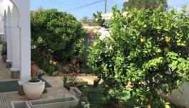Buy property in Torrevieja, Spain. torrevieja area, 6 bedrooms, 407 m² image 2