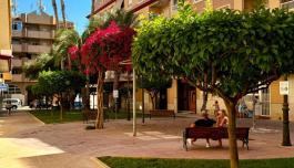 Buy real estate in Guardamar del Segura, Spain. Pueblo area, 2 bedrooms, 298 m² image 1