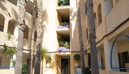 Real estate Orihuela Costa, Studio for sale. Campoamor area, 1 bedroom, 30 m² image 5