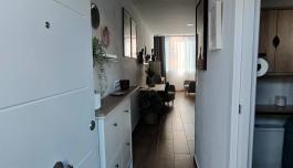 Estudio en Torrevieja, España. Zona de la  La Mata, 1 dormitorio, 30 m² image 1