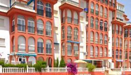 Torrevieja, Spain. Real Estate. Aguas nuevas 1 area, 1 bedroom, 30 m² image 3