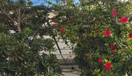 Real estate in Spain, Bungalow. Mil Palmeras area, 3 bedrooms, 90 m² image 3