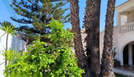 Buy real estate in Orihuela Costa, Spain. Cabo Roig area, 7 bedrooms, 200 m² image 5
